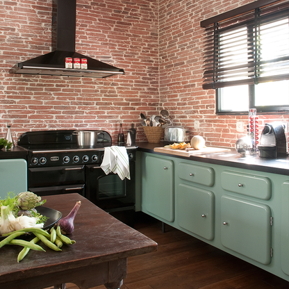 Falcon afzuigkap Classic 110 met rail