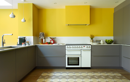 Falcon Nexus 90 Inductie