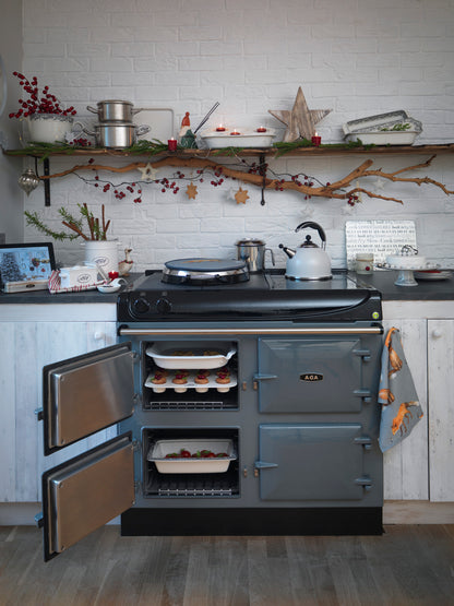 AGA eR3 110